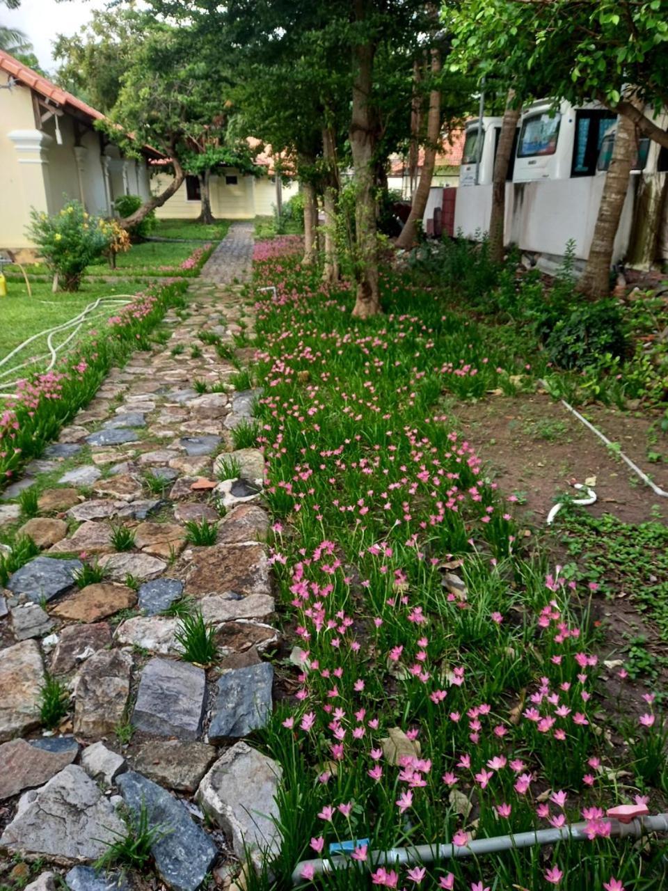 Sai Gon Con Dao Resort Bagian luar foto