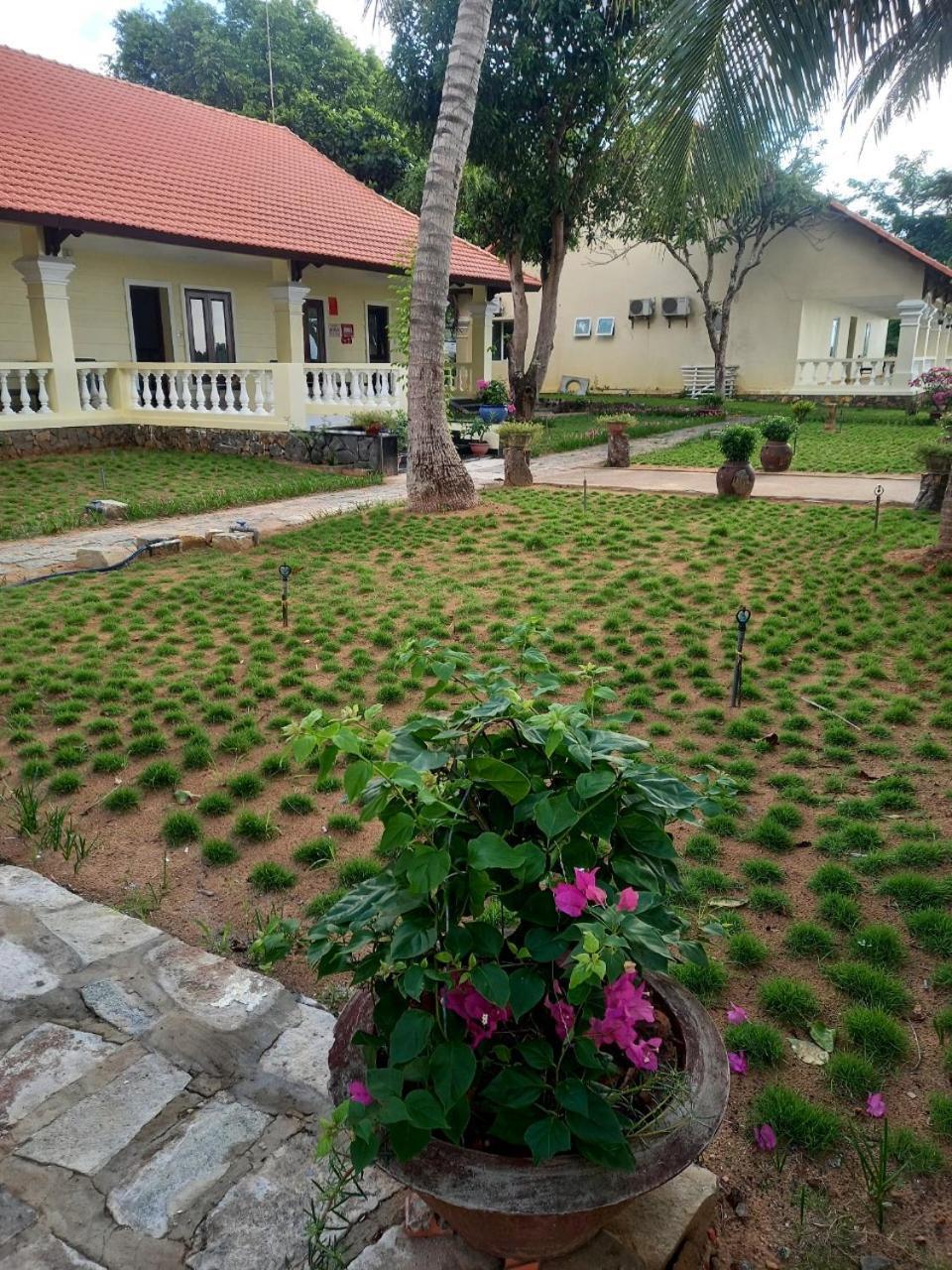 Sai Gon Con Dao Resort Bagian luar foto